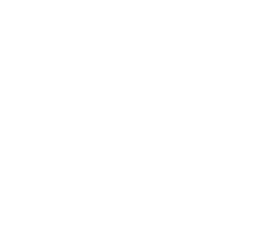Logo Swiss Venture